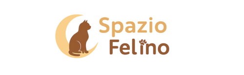 Spazio Felino
